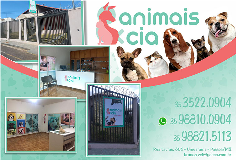 Animais e Cia Clínica Veterinária
