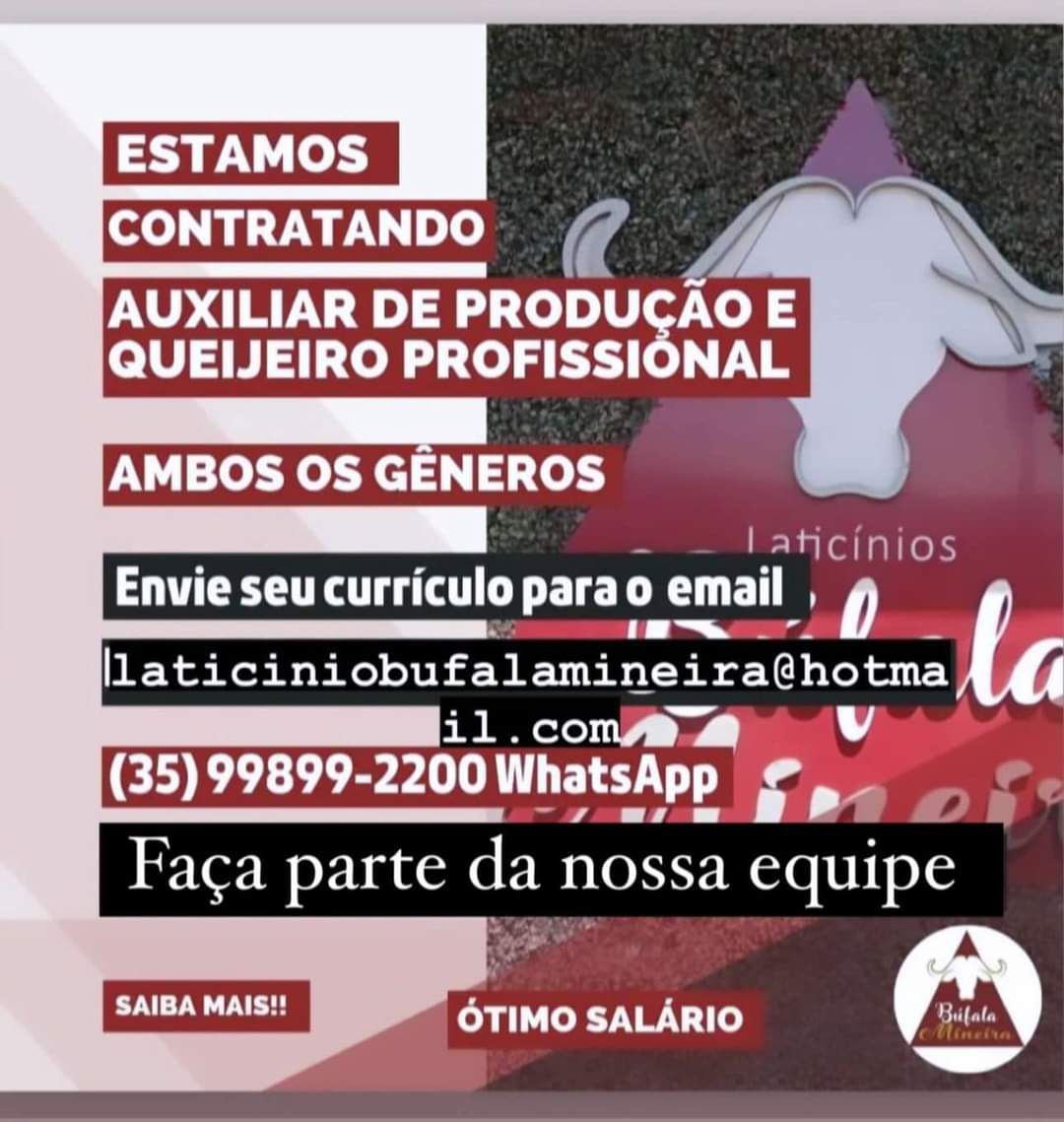 Vaga de Emprego - Auxiliar de Produção e Queijeiro Profissional - Laticínios Bufala Mineira - Passos MG