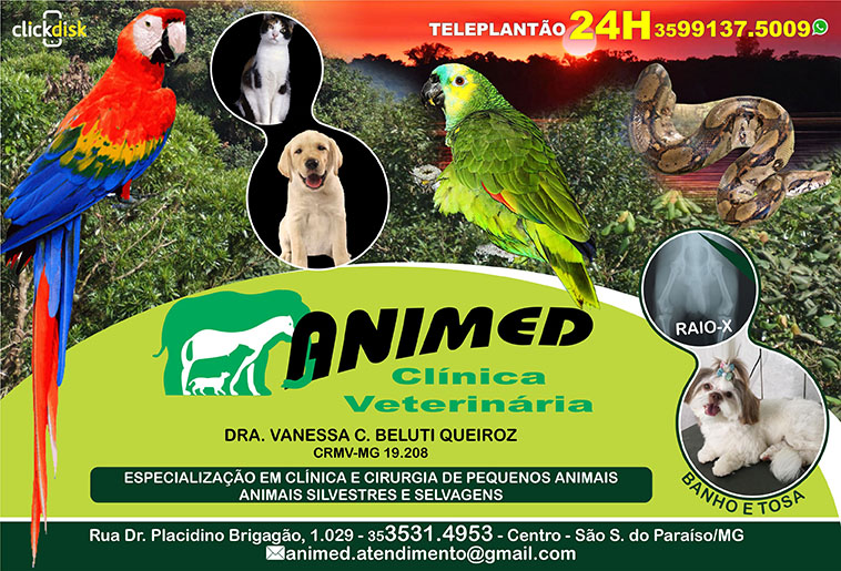 Pet Shop Próximo - Animed Clínica Veterinária Clínica Veterinária